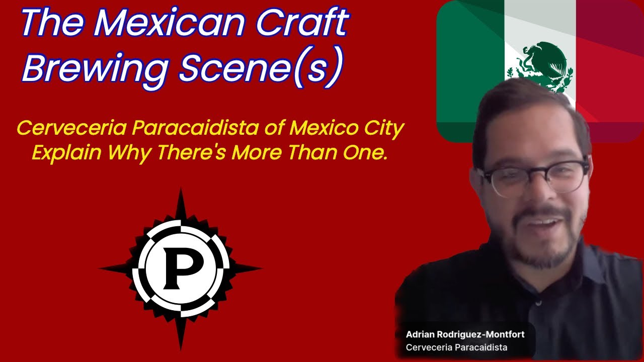 Discover The Mexican Craft Beer Scenes. How Many Are There? What Are