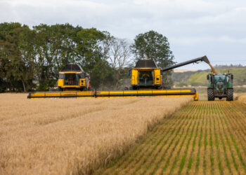 crisp-malt-proud-of-field-forward-initiative