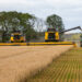 crisp-malt-proud-of-field-forward-initiative