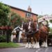 business-briefing:-hook-norton-md-on-uk-economy