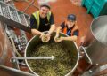 from-cornwall-to-the-blackhorse-beer-mile