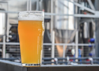 top-surgery-&-the-taproom:-beer-workers’-search-for-gender-affirming-care