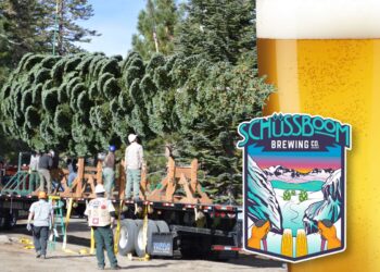 schussboom-brewing-joins-“the-people’s-tree”-on-a-cross-country-beer-tour